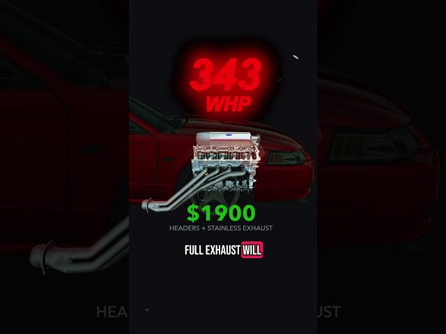 The Budget Terminator Cobra Build