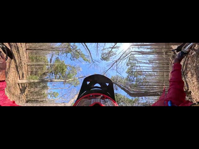 GoPro 360 CRF450RL