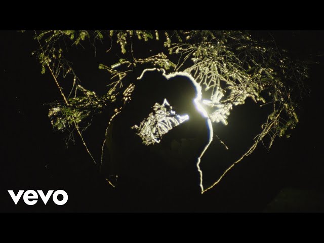 Meshell Ndegeocello, Cat Power - Don't You Want Me (Official Video)