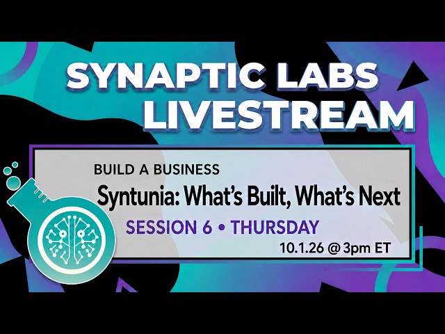 Build a Business 6: Syntunia: What's Built, What's Next