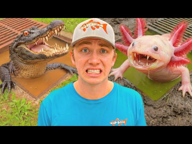 The Craziest Sewer Monsters I’ve Ever Found…