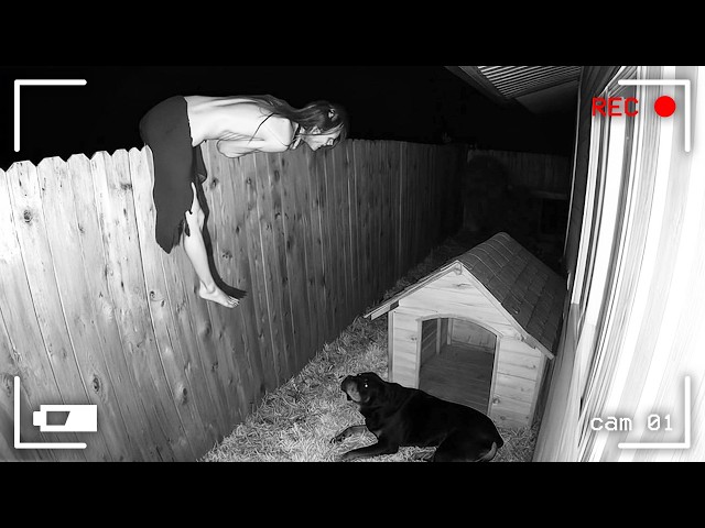 120 Incredible Moments Caught on CCTV Camera