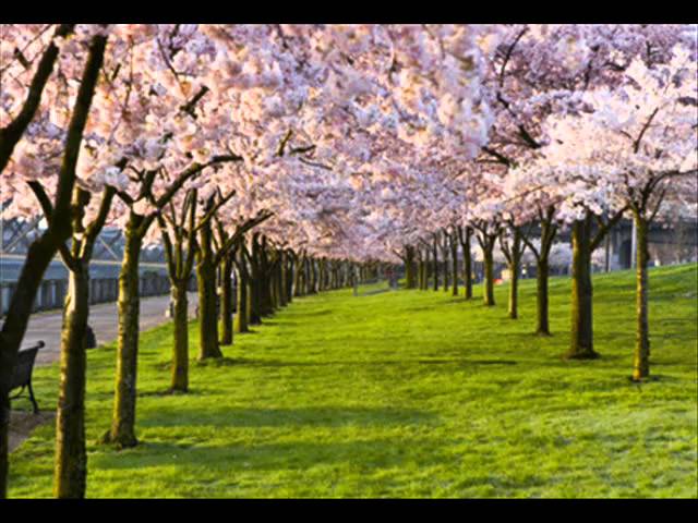Spring. Antonio Vivaldi