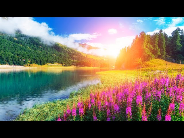 Beautiful Relaxing Music for Stress Relief ~ Calming Music ~ Sleep Music ~ Study Music