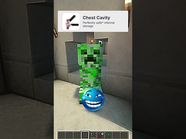 minecraft op mods 🥴 part 1