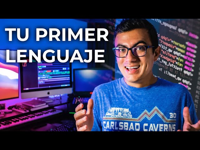 What is the PERFECT programming language for a beginner?