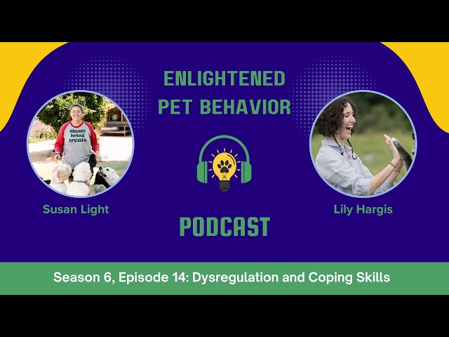 Dysregulation and Coping Skills with Lily Hargis