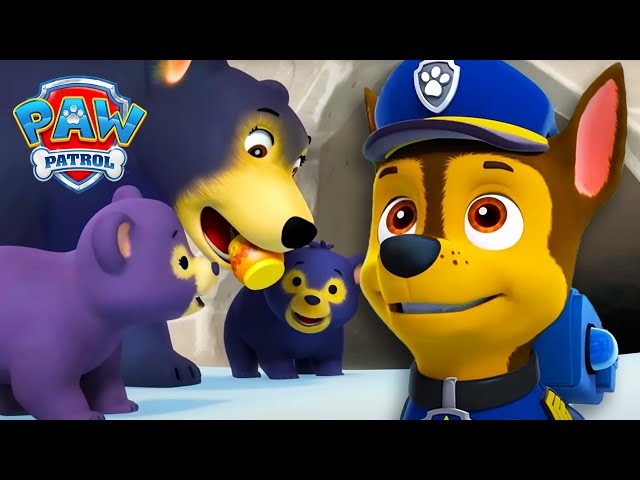 Chase rettet einen kleinen Bären! 🐻| PAW Patrol auf Deutsch | Videos für Kinder
