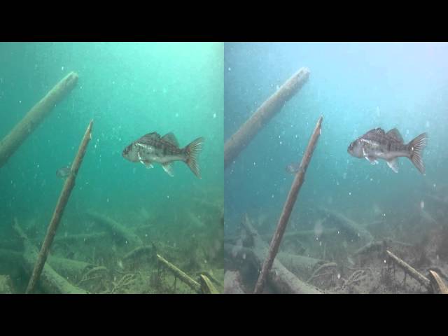 GoPro 3D sub zero Testvideo