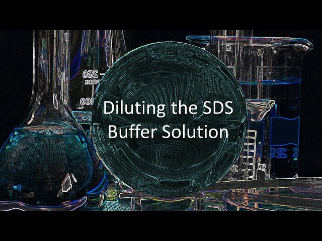 Diluting the SDS Buffer Solution