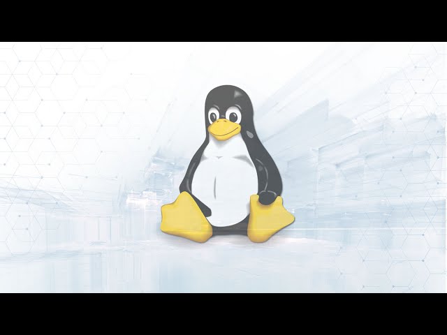 Linux Basics Tutorial for Beginners: Linux Fundamentals