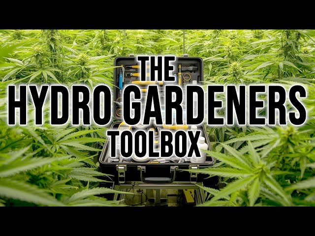 What Tools Do You Need To Start Growing Hydroponically? dig Into The Hydro Gardeners Toolbox