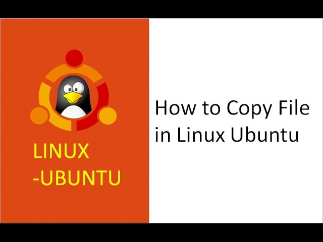copying files from one directory to another in linux, copy file, folder, directories