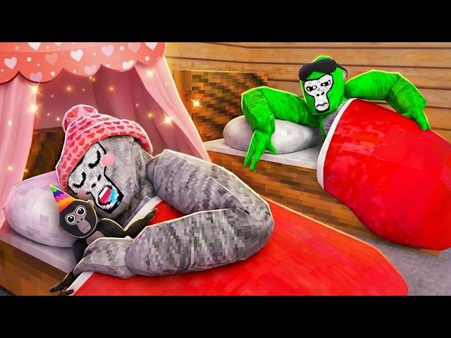 I Had a Gorilla Tag SLEEPOVER