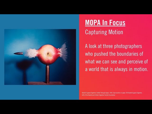 Capturing Motion | MOPA In Focus
