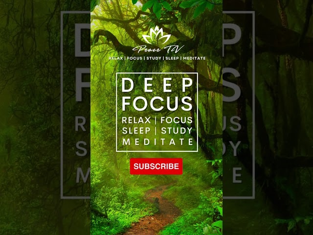 Relax Focus Flute Meditation #deepfocus