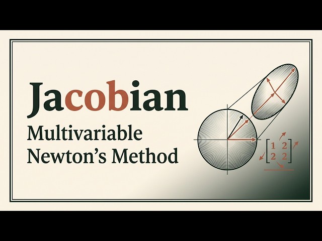 What the Jacobian Really Does in Multivariable Newton's Method