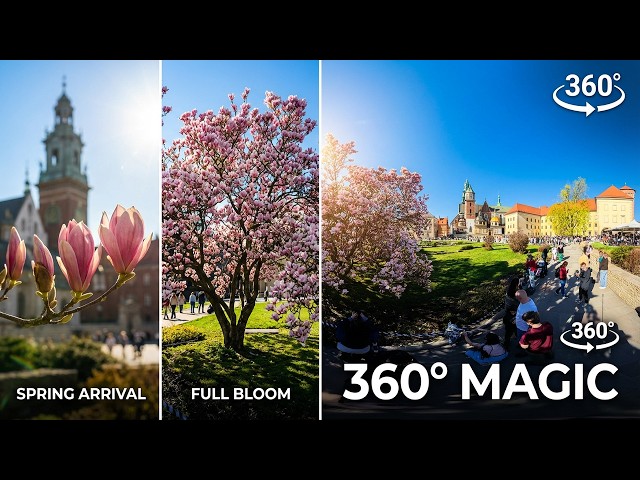 360° Blooming Magnolias at Wawel | Cathedral Bells Ringing Kraków Spring Virtual Tour