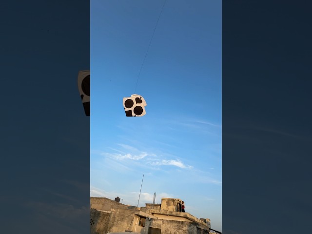 Itana  payara guda pkr lia 😍 #short #kite #youtubeshorts