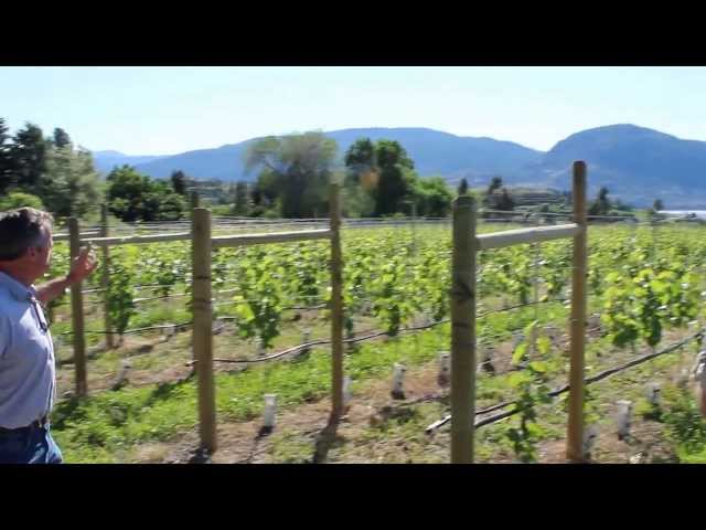 La Frenz Vineyard Tour