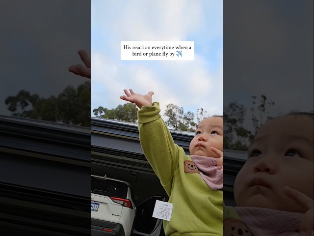 His reaction everytime a bird or plane fly by  ✈️ #babyreaction #babymoments #babyshorts
