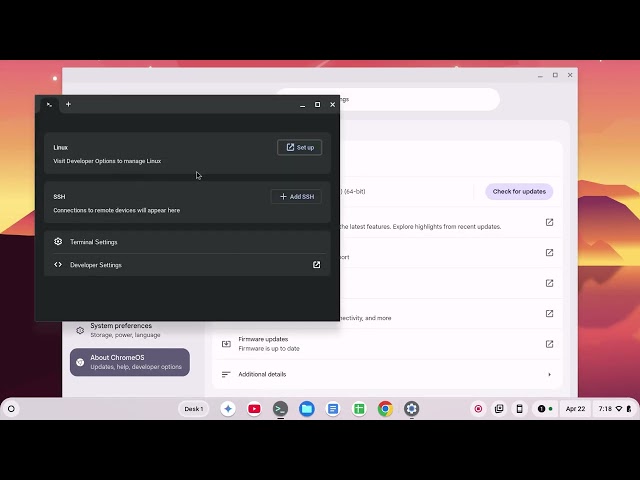 How to Uninstall Linux on a Chromebook in 2025