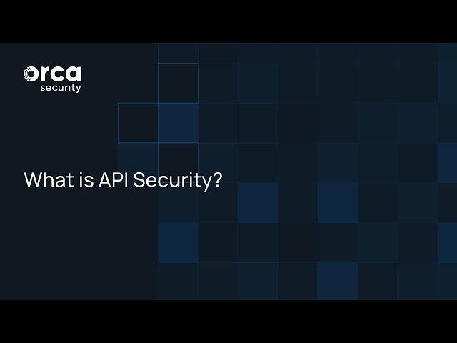 What Is API Security? | Orca Insights
