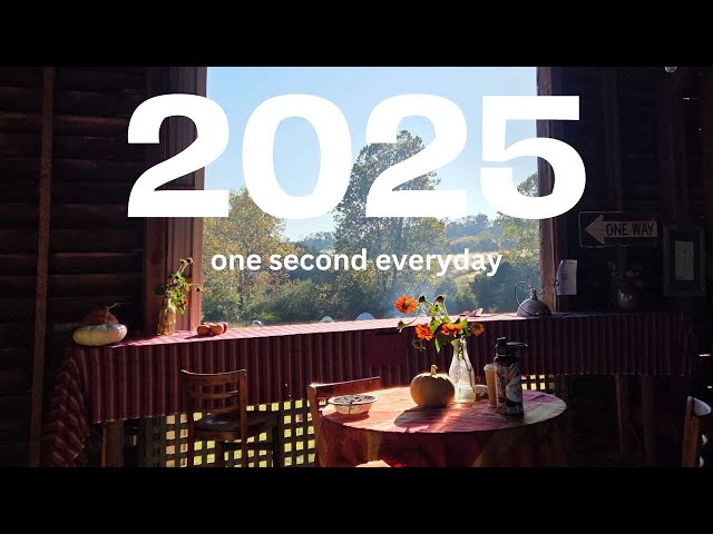one second everyday | age 27
