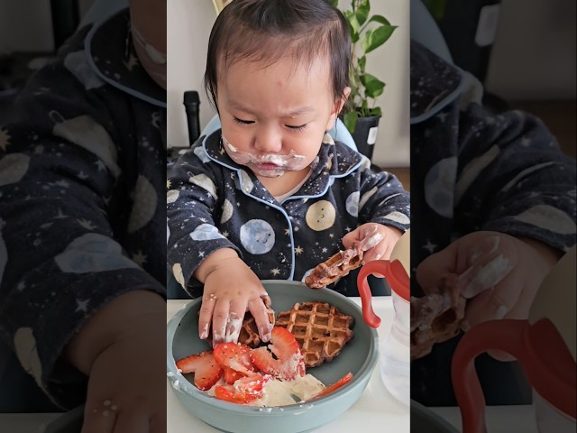 Banana & sweet potato waffles with sour cream & strawberries #waffles #blw #babyledweaning #blwbaby