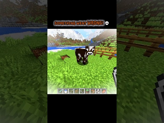 Something Went Wrong In Minecraft 💀#Minecraft #MinecraftShorts #MinecraftFails #GamingShorts