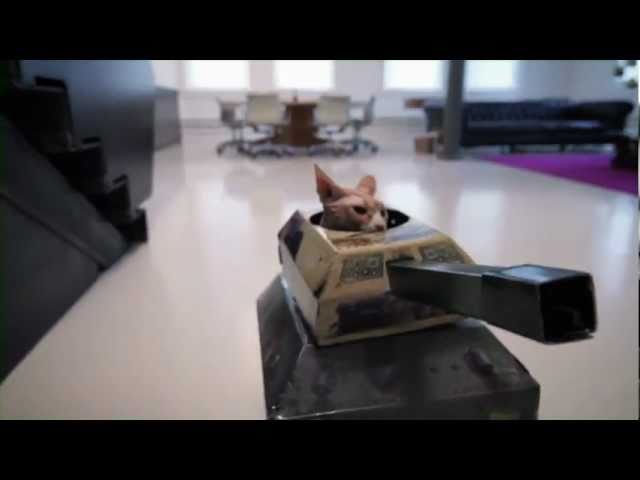 Cats in Tanks