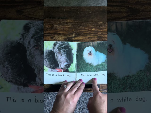 Quick Kindergarten Reading Practice | DOGS | Compare & Contrast SIMPLE TEXT | #readingpractice