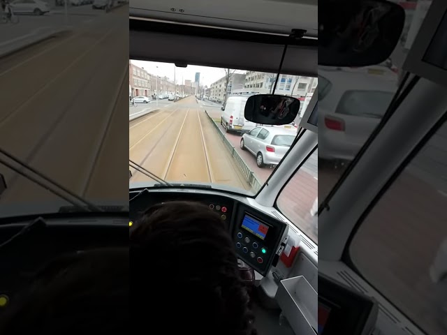 Tram performs EMERGENCY BRAKE! 🚨 #tram #avenio #thehague #denhaag #publictransport  #train