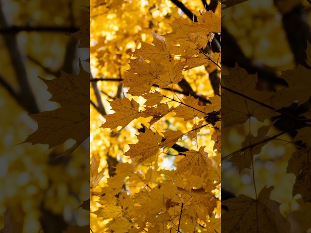 What is the Autumn Equinox?