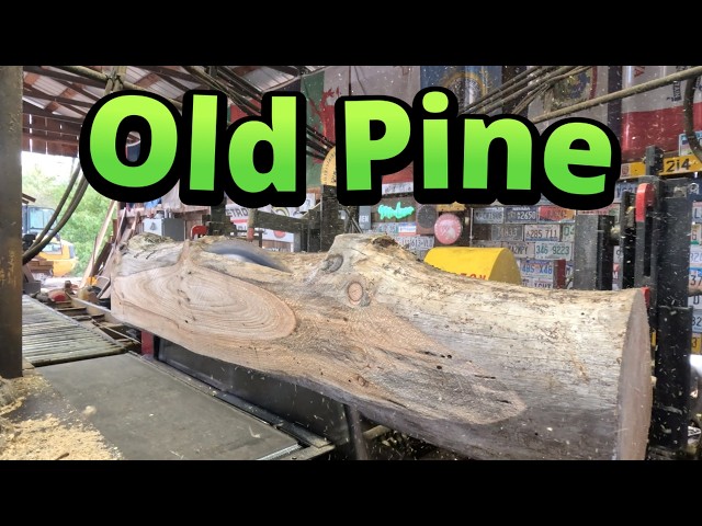 Old logs make great dunnage # 935