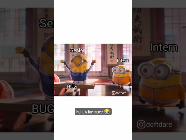 Senior Developer VS Junior Developer