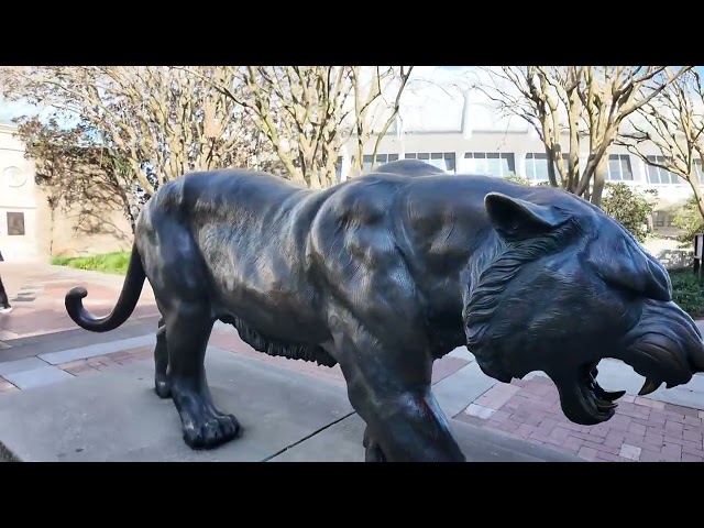Spring 2026 Welcome Video