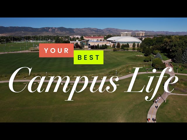 Discover Your Perfect Living Option at CSU | Colorado State University Residence Halls
