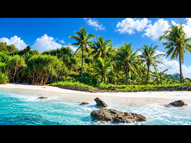 🔴 LIVE 24/7 · Pristine Coast, Java, Indonesia · Water Sounds for Deep Focus · 4K