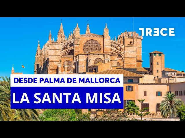 🔴 LIVE | HOLY MASS from the CATHEDRAL OF PALMA DE MALLORCA - PRAYER CHAIN (09/20/2026)