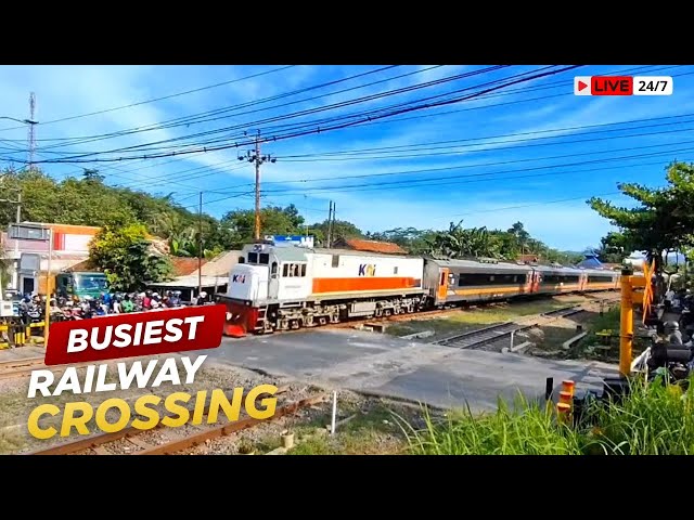 Insane Railway Crossing Traffic | Trains & Cars Nonstop Day and Night 🚆