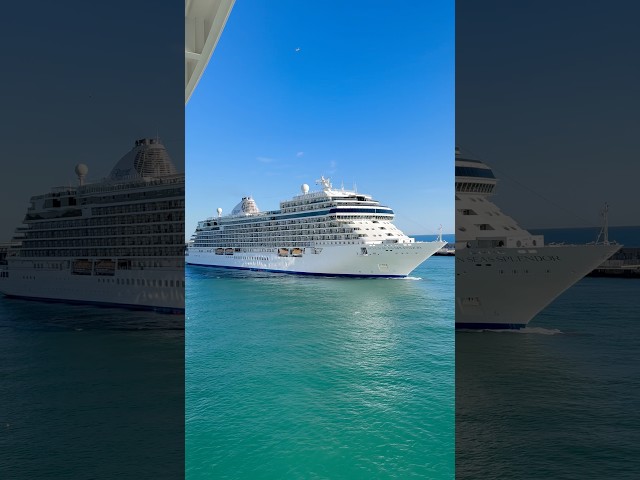 Seven seas splendor cruise ship #shorts #cruise ship