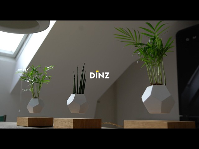 FLYTE & DINZ
