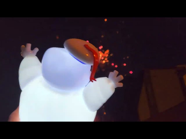 Mini Puft enjoys fireworks!