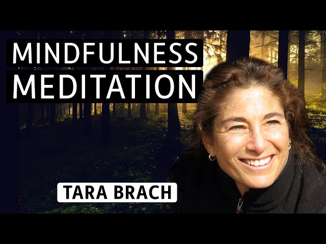 Meditation with Tara Brach: Developing Self-Compassion