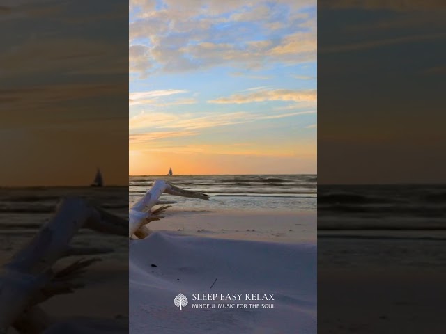 Mellow Melodies: Serenity in Every Beat 🌈🎶 #MellowVibes #MusicForRelaxation #shorts