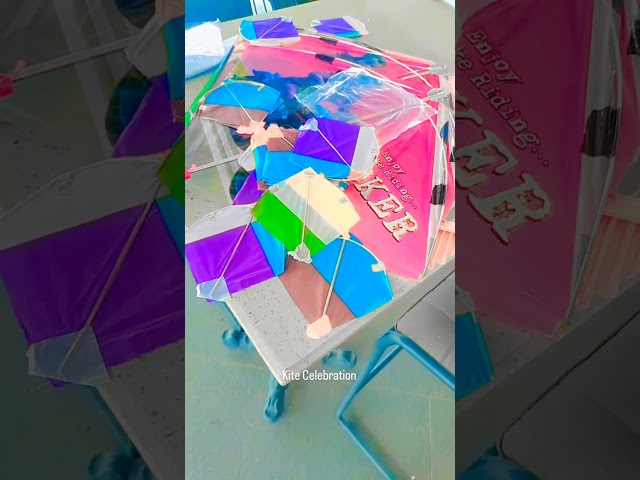 kite Celebration #reels #travel #trending #viral #youtubeshorts #nature #love