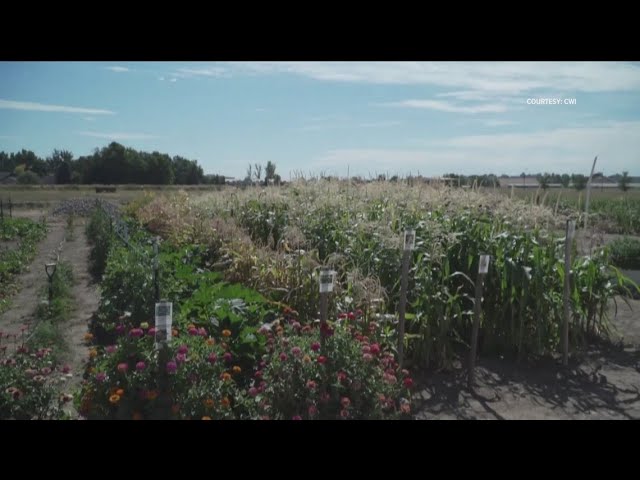 CWI hosts locally grown food event '2023 Farm to Fork'