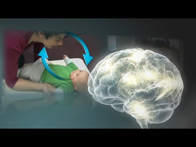 Serve & Return Interaction Shapes Brain Circuitry