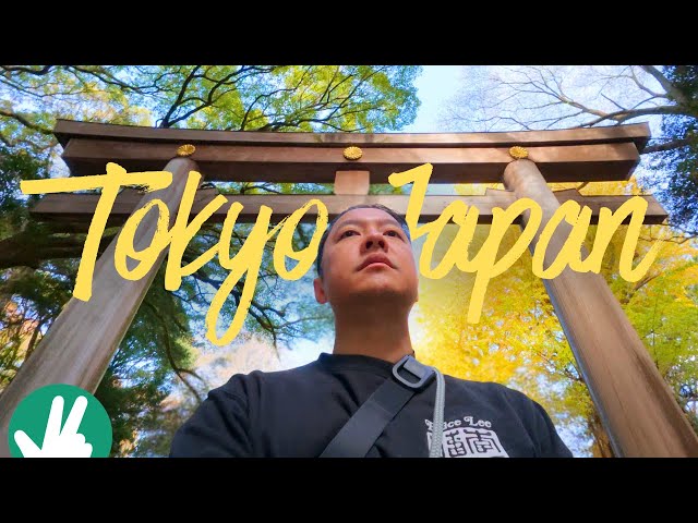 7 Days in Tokyo (with DJI Osmo Nano and Panasonic S9)